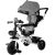 Leantoys Tricycle PRO300 Gray