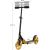 Skrejritenis Story Lux Gold Black 2