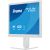 Iiyama ProLite B1980S-W1 - 19 - white (matte), SXGA, TN, HDMI, DP, ergonomic stand