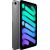 Apple iPad mini 128GB, tablet PC (grey, 5G / Gen 7 / 2024)