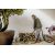 KARCHER WD 3 S V-17/4/20 + 4 FB Wet Dry