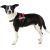 Trixie Szelki Julius-K9 , Mini/M: 51–67 cm, czerwone