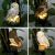 Dārza saules lampa - Pūce