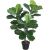 Mākslīgs koks FIDDLE LEAF H100cm, melns puķupods