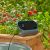 Gardena Solar Irrigation AquaBloom L Set (grey/turquoise, for up to 30 plants)