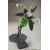 Bandai FIGURE RISE DBZ PERFECT CELL [NEW BOX]