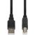 iBox IKU2D USB cable 1.8 m USB 2.0 USB A USB B Black