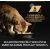 PURINA Pro Plan Sterilised Maintenance Chicken in gravy - wet cat food - 85g