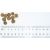 BULT Lamb - dry dog food - 3kg