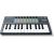 Novation FLKEY Mini - MIDI keyboard dedicated to FL Studio software, 25 keys. Mūzikas instrumenti