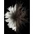 GIVENCHY L'interdit HAIR MIST spray 35ml
