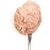 3COTY Chicken For kittens - wet cat food - 80g
