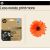 HP 937e EvoMore (4S6W9NE) Ink Cartridge, Black