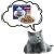 PREVITAL Cat Food Megabox with Lamb, Beef, Rabbit, and Chicken in Gravy - Wet Cat Food - 24 x 100g