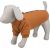 Trixie CityStyle Amsterdam sweatshirt, XS: 30 cm, rust
