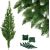 Dimanta egle uz stumbra Springos CT0110 160cm