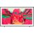 SAMSUNG QE85LS03FWUXXH 85" 4K Ultra HD Flat 16:9 Neo QLED