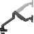 SilverStone Monitor Arm SST-ARM14B, monitor mount (black, for monitors from 17" - 49" (43 - 124cm))