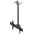 EDBAK Ceiling mount MBV1155-L 42-57 " Maximum weight (capacity) 70 kg Black