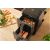 Double hot air fryer Sencor