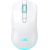 Baracuda BGM-122 Turtle White