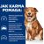 HILL'S Prescription Diet Derm Complete - dry dog food - 1,5kg