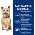 HILL'S Prescription Diet Kidney Care k/d Chicken stew - wet dog food - 400g
