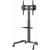 TV stiprinājums Gembird 32" - 55" TV floor stand with caster wheels Крепления для телевизоров