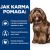 HILL'S PD B/D Brain ageing Care Chicken - dry dog food - 12kg Suņu barība