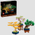LEGO Botanicals 10373 Mini pundurkociņi Новости - Детские товары