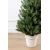 (Ir Veikalā) Ziemassvētku egle podā “Lapland Green” 1.1M 60CM Mākslīgās egles