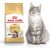 Royal Canin Maine Coon Adult karma sucha dla kotów dorosłych rasy maine coon 2 kg Kaķu sausā barība