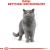 ROYAL CANIN British Shorthair - dry cat food - 2 kg Сухой корм для кошек