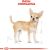 ROYAL CANIN Chihuahua - pack 12x85g Suņu barība