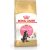 ROYAL CANIN Maine coon FBN Kitten - dry cat food - 400g Kaķu sausā barība