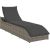 Vidaxl Składany leżak z poduszką i schowkiem Szary polirattan Шезлонги и пляжные стулья