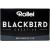 Rollei film Blackbird 64/36 Jaunumi - Audio-Video