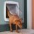 FERPLAST Swing 11 grey - dog and cat door - 31 x 9.6 x 38.4 cm Suņu un kaķu transport somas
