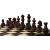 Sunrise Šahs Magnetic School chess Galda spēles