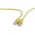 PATCH CABLE CAT5E UTP 0.25M/YELLOW PP12-0.25M/Y GEMBIRD Tīkla vadi