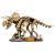 LEGO JURASSIC WORLD 77985 Dinosaur Fossils: Triceratops Новости - Детские товары