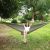 Hammock inSPORTline Logone гамаки