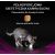 PURINA Pro Plan Veterinary Diets Feline UR St/Ox Urinary - dry cat food - 1,5kg Barība
