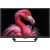 TV Strong TV 24 230/12Volt Google TV SRT24HG4723C Новинки Компьютерная техника