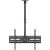 Maclean Ceiling Mount for TV, max. load 50 kg, 37–86", max. VESA 600x400, MC-173 TV un monitoru stiprinājumi, kronšteini