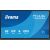 IIYAMA 163.9cm(65") TN6505A-B1AG M-Touch 2xHDMI+DP+USB-C IPS (Speditionsversand) Monitori
