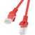 Lanberg PCU6-10CC-0025-R networking cable Red 0.25 m Cat6 U/UTP (UTP) Tīkla vadi