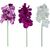Orchid FLOWERLY H60cm, mix Новости, мебель, дом