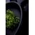 Induction sateuse 20cm  AMT Gastroguss Pannas