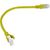 Lanberg PCU6-10CC-0025-Y networking cable Yellow 0.25 m Cat6 U/UTP (UTP) Tīkla vadi